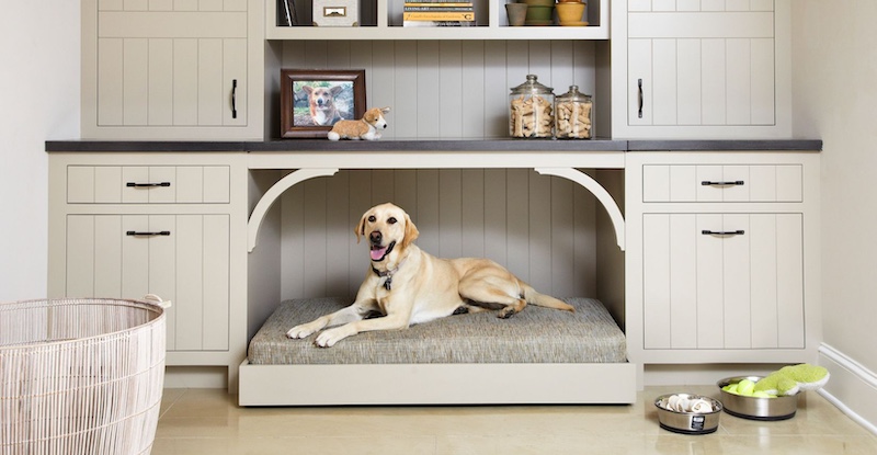 Pet-Friendly Cleaning: Strategies for Keeping Your Home Clean and Fresh with Furry Friends 13 Pet-Friendly Cleaning