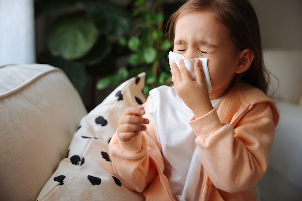 Breathe Easy: Enhancing Indoor Air Quality in Minnesota Homes During Spring Allergy Season with Minnesota Home Cleaning Services 10 Minnesota home cleaning services